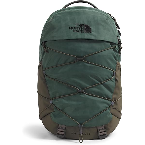 Amazon.com: The North Face Jester Everyday Laptop Backpack
